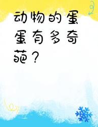 动物蛋蛋冷知识大赏！奇葩进化论震碎三观