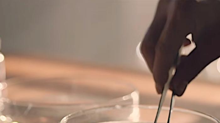 变态房东窥探租客隐私，引发一系列离奇事件，揭示人性阴暗面 .海龟汤-[原创首发]-吾爱文案网