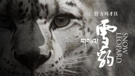 雪豹(2023)4K+1080国影附万玛才旦电影合集-课程-网盘资源分享