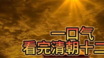 清朝十二帝：从努尔哈赤崛起至溥仪退位的兴衰荣辱历程 .元朝