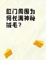 菊花周围的神秘绒毛竟是进化密码？人类未解之谜