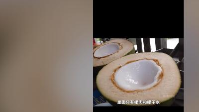 探秘椰子种子与椰子水：生长、营养、保存及实惠购买全解析 .椰子