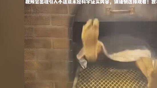 震惊全国！2013年三亿村北仓火葬场尸体离奇失踪又现诡异抓痕 .民间传说灵异故事