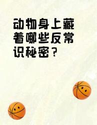 动物冷知识大爆炸！这些进化奇迹我赌的人不知道