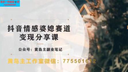 黄岛主·中视频景物赛道实拍解说项目-课程-网盘资源分享