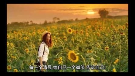 视频号创作者分成计划（保姆级教程）-课程-网盘资源分享