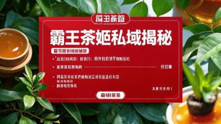 霸王茶姬私域揭秘