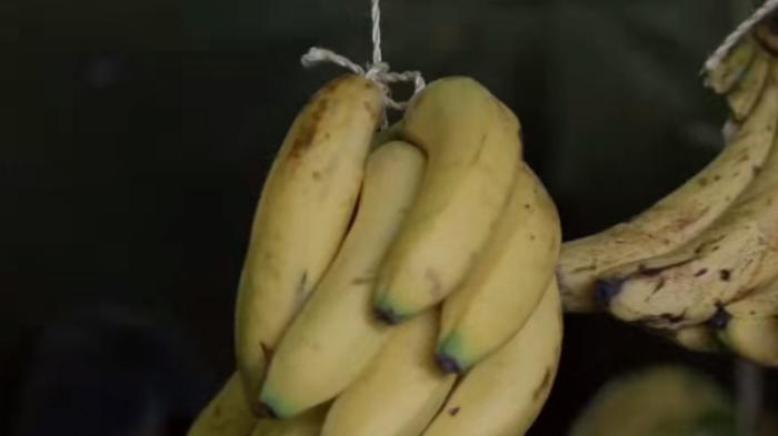 国民党将军败退台湾后一家的生活变迁与亲情羁绊故事 .王仲廉-[原创首发]-吾爱文案网