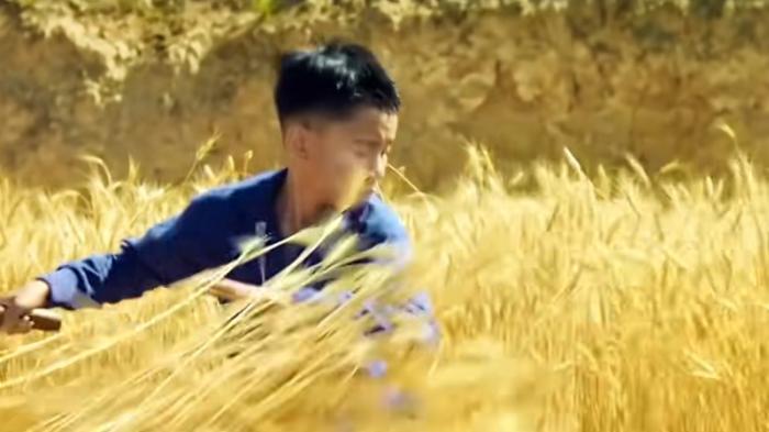 男孩割麦争风头，老实师兄未察觉，多年后领悟师傅良苦用心 .百鸟朝凤-[原创首发]-吾爱文案网