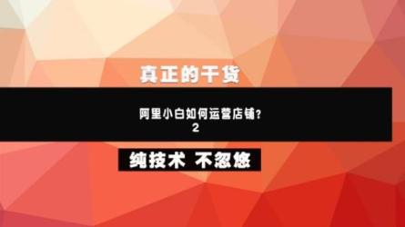 20课时带你系统性解析1688运营_49-课程-网盘资源分享