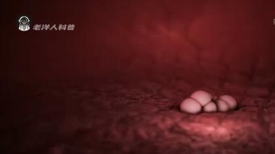 最强生物致癌剂黄曲霉素，潜藏日常食物中，危害远超想象 .黄曲霉素