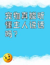 你家毛孩是真听懂还是装傻？科学解密宠物读心术