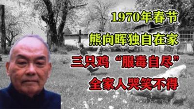 [视]1970年春节前熊向晖独自在家，三只鸡“服毒自尽”全家人哭笑不得-原创解说文案