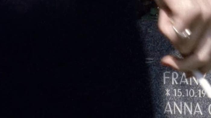 护士莫妮卡恋尸成瘾，肢解男尸，杀害男友，只为实现生命大融合 .红色的火烈鸟-[原创首发]-吾爱文案网