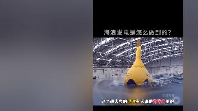 国外发明的海浪发电器外形多样，原理独特，相比其他发电优势显著 .中国海浪发电站