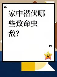 家中暗藏大毒虫刺客！铲屎官必看防虫指南