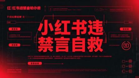 小红书违规禁言自救