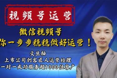 视频号运营，从0到1做优质短视频的方法-课程-网盘资源分享