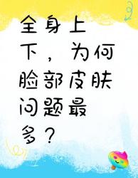 全身上下，为啥脸部皮肤问题最多？