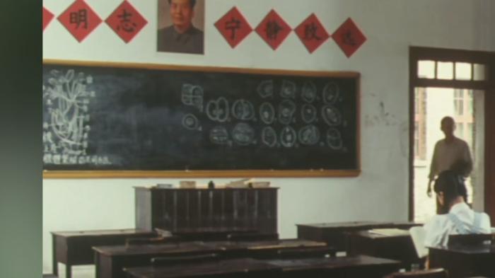 袁隆平历经坎坷坚持水稻研究，终获成功让中国人民端稳饭碗 .袁隆平-[原创首发]-吾爱文案网