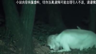 哀牢山导游离奇经历：探秘禁地、诡异梦境与揭秘林家人复活阴谋 .哀牢山纪录片完整版