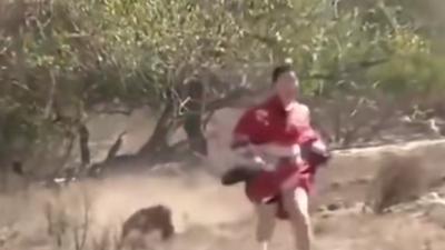 科莫多龙袭击应对之策：逃跑要点、自卫方法与咬伤救治 .科莫多龙