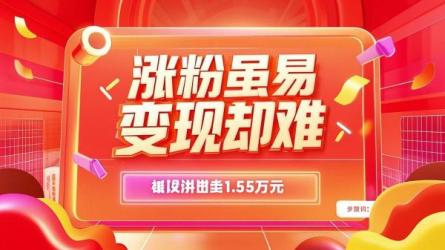涨粉虽易变现却难