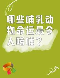 这些动物的一生让我心碎看完第个彻底破防了动物保护冷知识