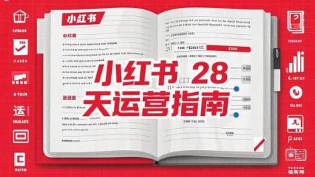 小红书 28 天运营指南