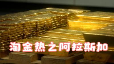 纪录片：阿拉斯加的致富天才，淘金偷鳄鱼蛋，直升机伐木月入8万-原创解说文案