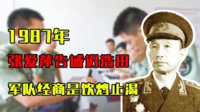 [视]1987年，已退休的张爱萍提醒总参谋长：“饮鸩止渴”,这是为何？-原创解说文案