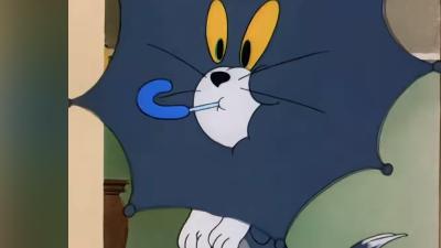 猫和老鼠与三只小猫的混战：搞笑闹剧背后的趣味“过招”故事 .猫和老鼠