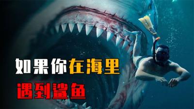 如果一个人在海里遇见鲨鱼，还能活下来吗？应该如何自救？-原创解说文案