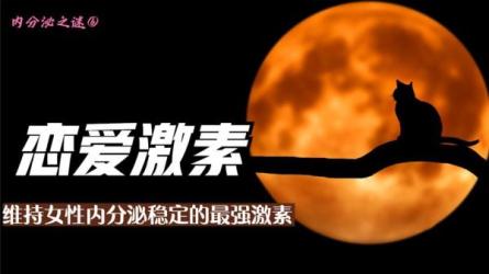 随手制造女生的爱情激素-课程-网盘资源分享