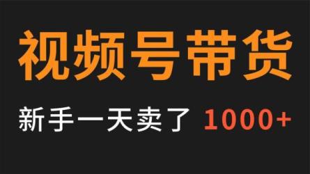 陈奶爸-快手书单号副业月入6000+-课程-网盘资源分享