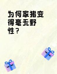 家猪战斗力归零之谜从獠牙猛兽到肉肉团子的基因革命