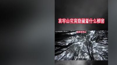 大学生成哀牢山导游，违规帮忙惹祸，午夜惊险送“地府通行证” .哀牢山