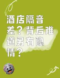 酒店隔音差？背后真相大揭秘