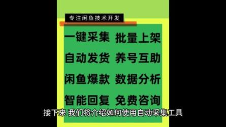 闲鱼优质帖搬砖，单号一天赚个二三十没问题，可多号操作-课程-网盘资源分享