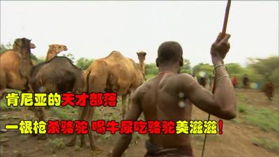 非洲的天才波科特族，喝牛血牛尿洗碗烤骆驼，谁牛多谁就多娶老婆-原创解说文案