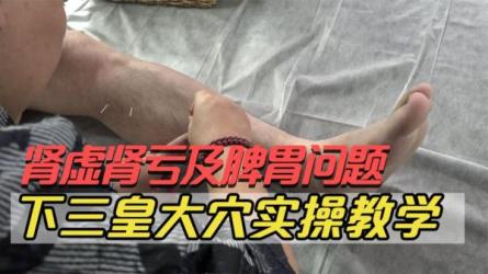 解说实操一课通-课程-网盘资源分享