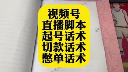 视频号·0粉起号+话术框架线上课-课程-网盘资源分享