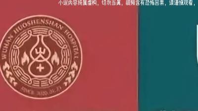 罗天大醮、七四九局、瘸腿高人，揭秘火神山雷神山背后的神秘故事 .火神山雷神山俯瞰图