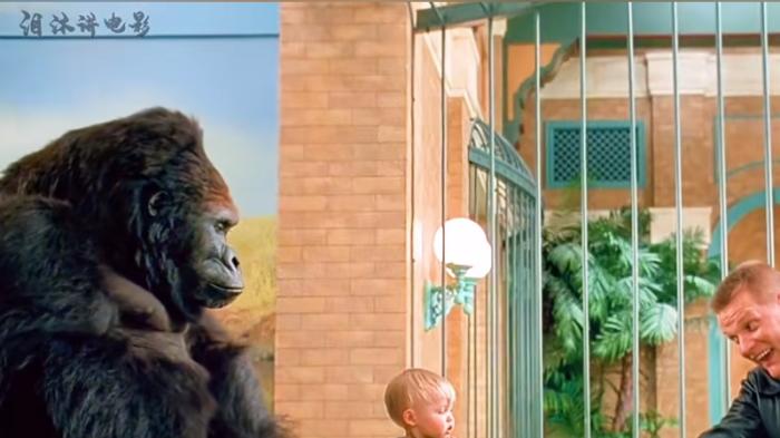 猩猩勇护宝宝对抗人贩子，生死关头守护生命惊险上演 .猩猩和小宝宝的电影-[原创首发]-吾爱文案网