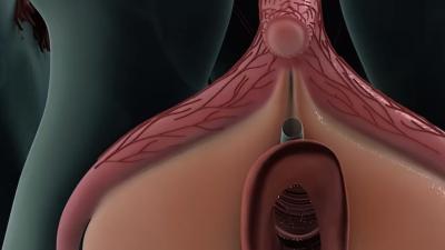 阴蒂科普：打破片面认知，探究其全貌与带来快乐的奥秘 .电影《哪吒2》
