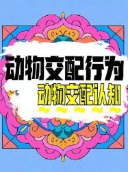 动物交配迷惑图鉴看完瞳孔地震的硬核冷知识