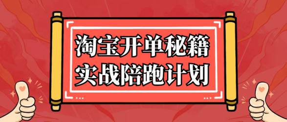 淘宝开单秘籍实战陪跑计划【】