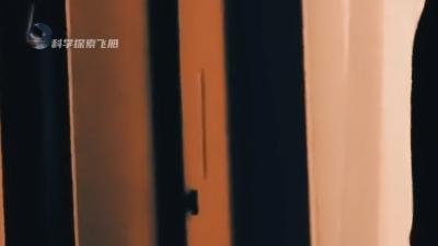 身体远比想象中爱你，细胞时刻守护，记得善待自己 .工作细胞