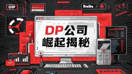 DP公司崛起揭秘