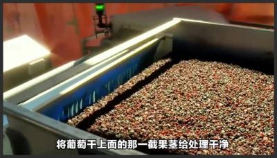 吃葡萄干之前到底要不要洗？看完它的制造过程你就明白了纪录片纪录片充电计划造物工厂葡萄干-原创解说文案